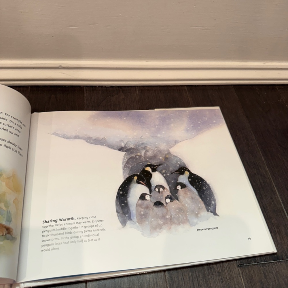 Too Hot? Too Cold? Hardcover Children's Kids Toddler Body Temperature Book - Picture 5 of 5